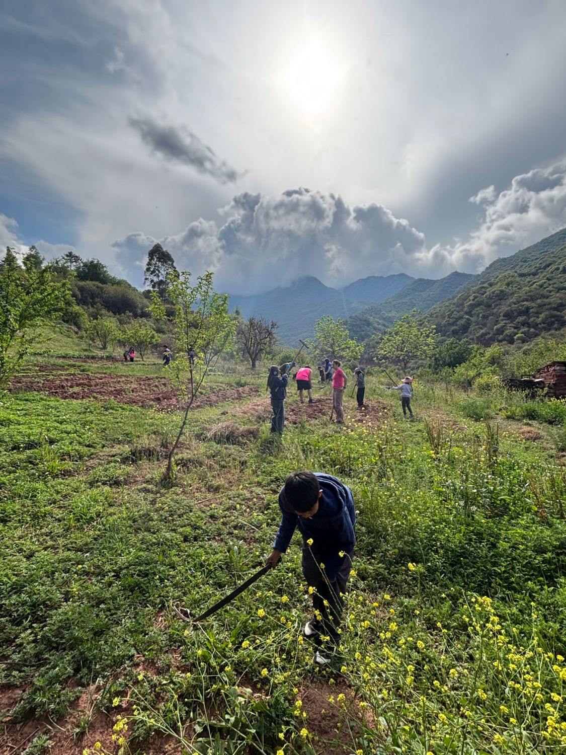 Trabajo en la huerta de la comunidad